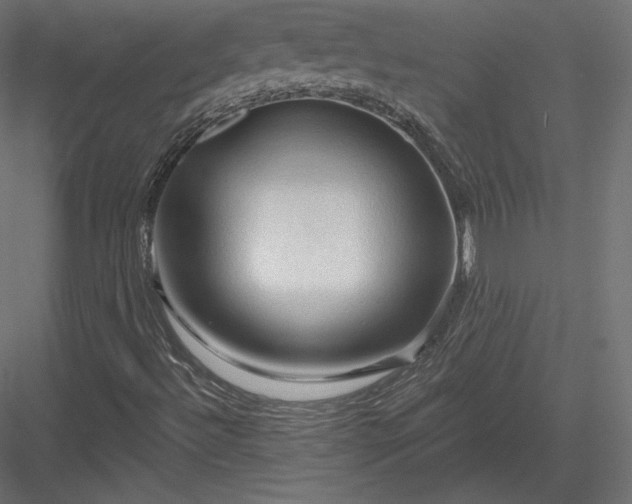 X0000083971492200702232004