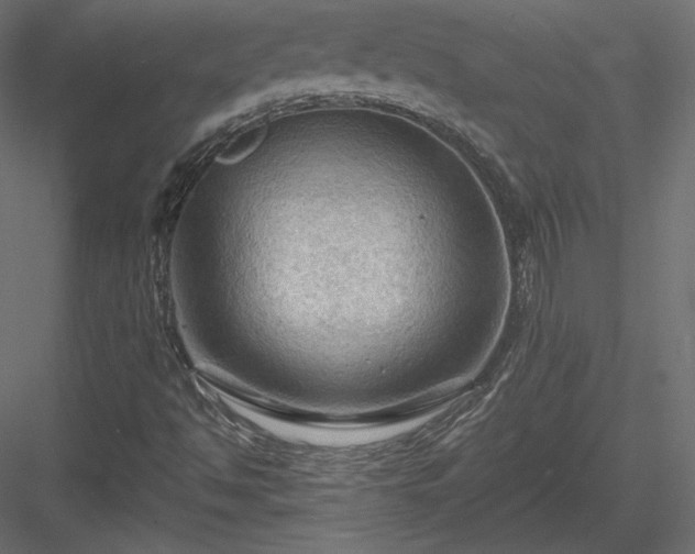 X0000083971494200702232004