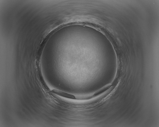 X0000083971497200702232004