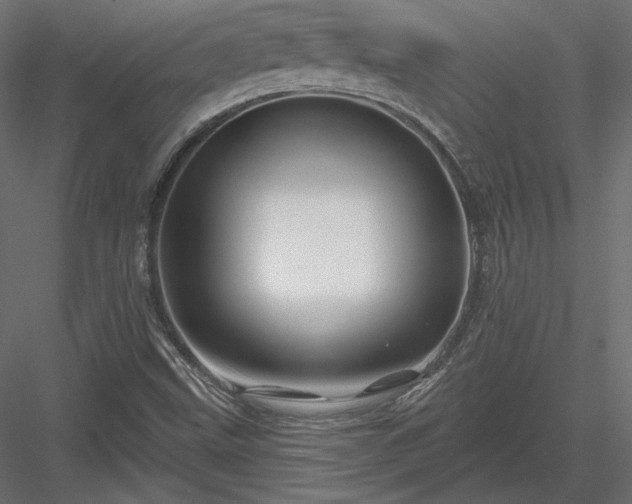 X0000083971499200702232004