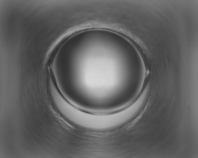 X0000083971502200702232004