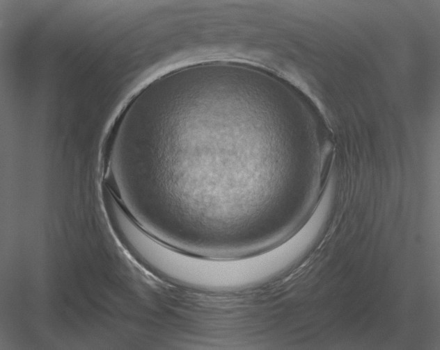 X0000083971508200702232004