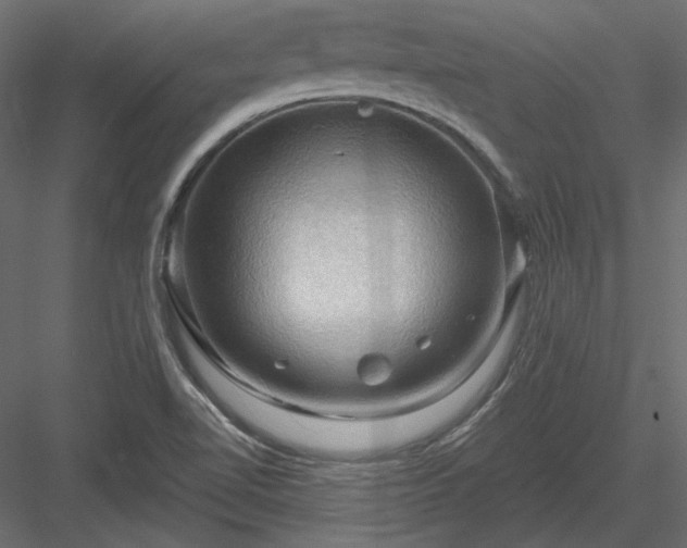 X0000083971510200702232004