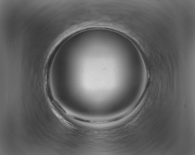 X0000083971511200702232004