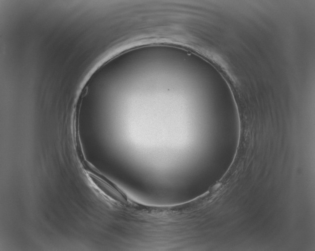 X0000083971516200702232004