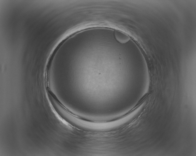 X0000083971519200702232004