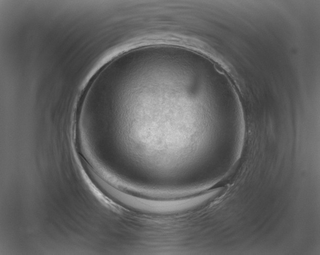 X0000083971523200702232004
