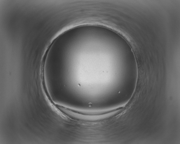 X0000083971526200702232004
