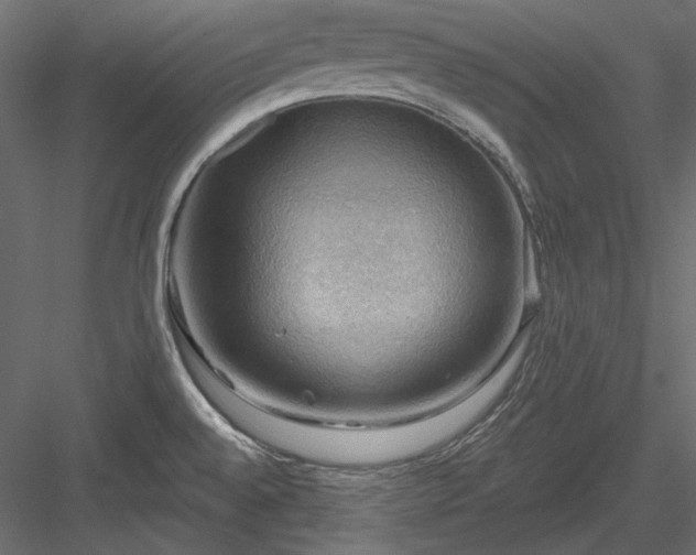 X0000083971528200702232004