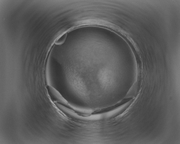 X0000083971529200702232004