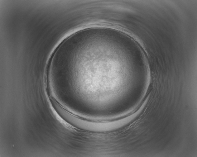 X0000083971531200702232004