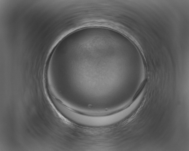 X0000083971533200702232004