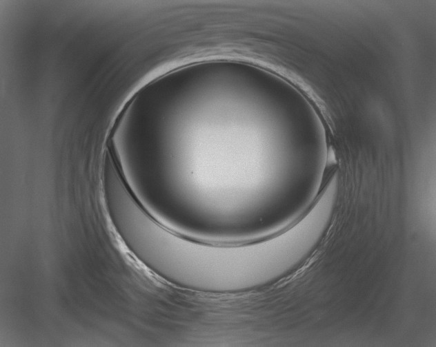 X0000083971534200702232004
