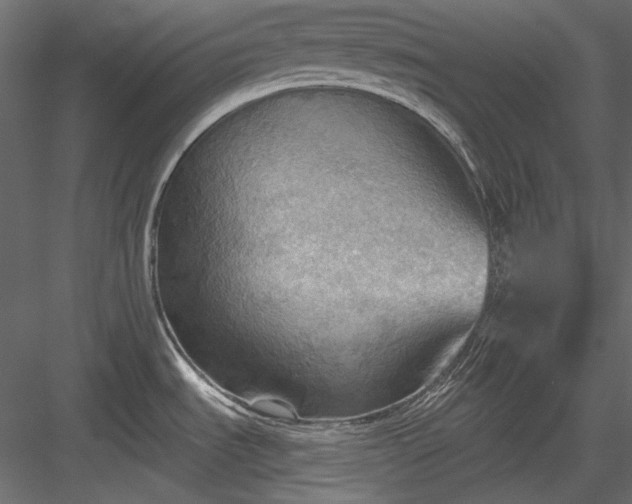 X0000083971535200702232004