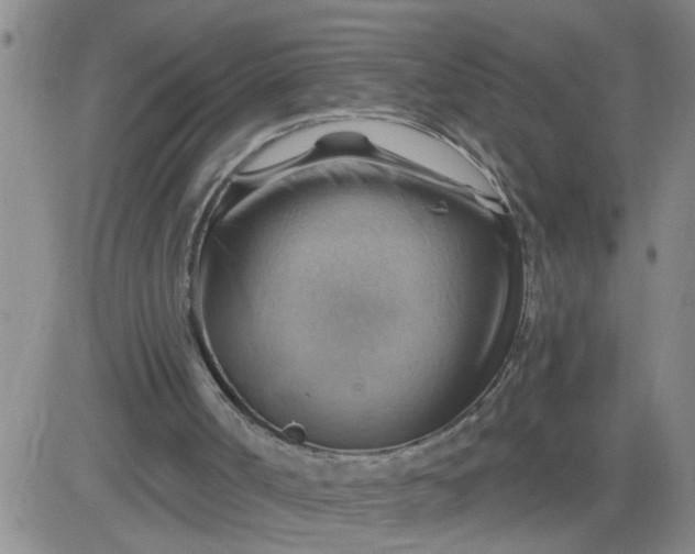 X0000083970002200703021857