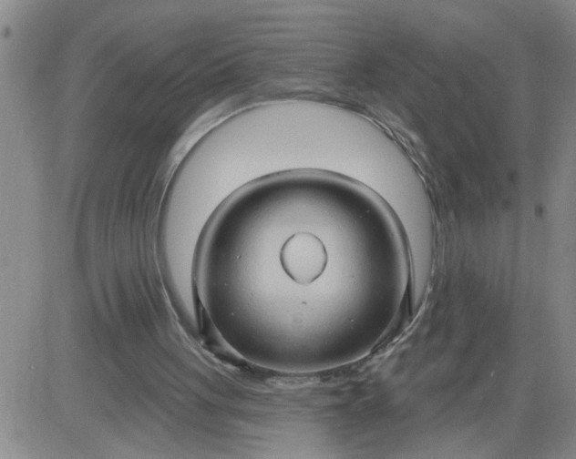X0000083970051200703021856