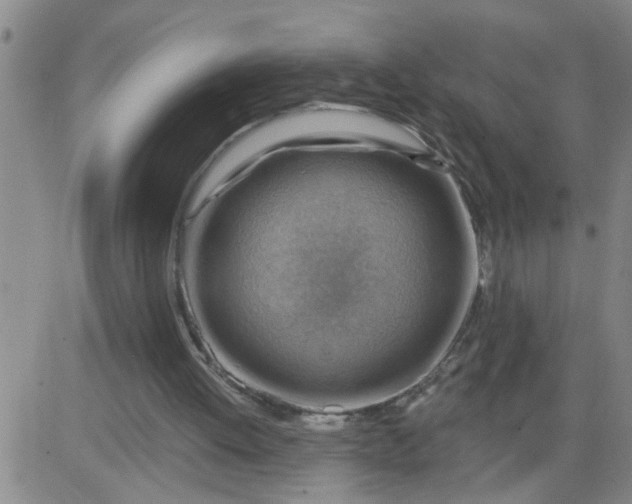 X0000083970052200703021856