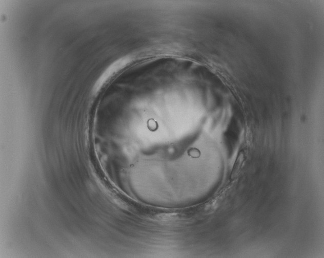 X0000083970054200703021856