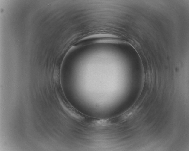 X0000083970092200703021856