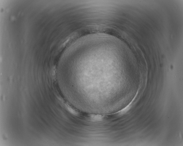 X0000083970144200703021855