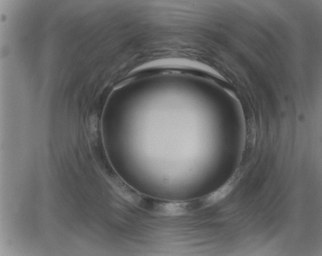 X0000083970184200703021855