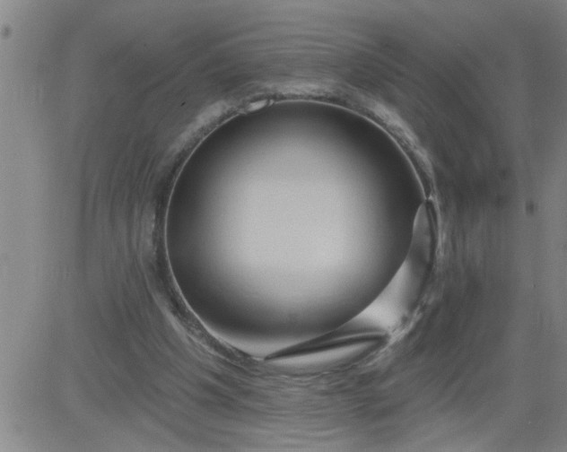 X0000083970201200703021854