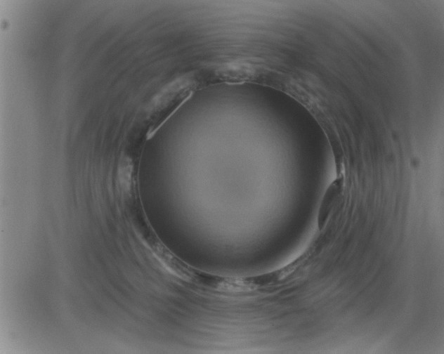 X0000083970231200703021853
