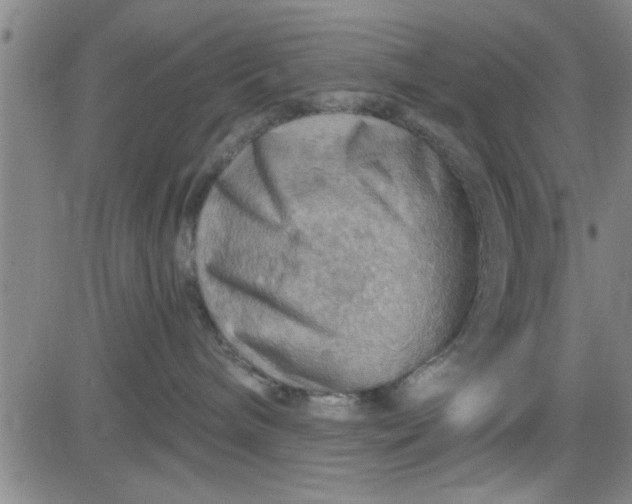 X0000083970240200703021853