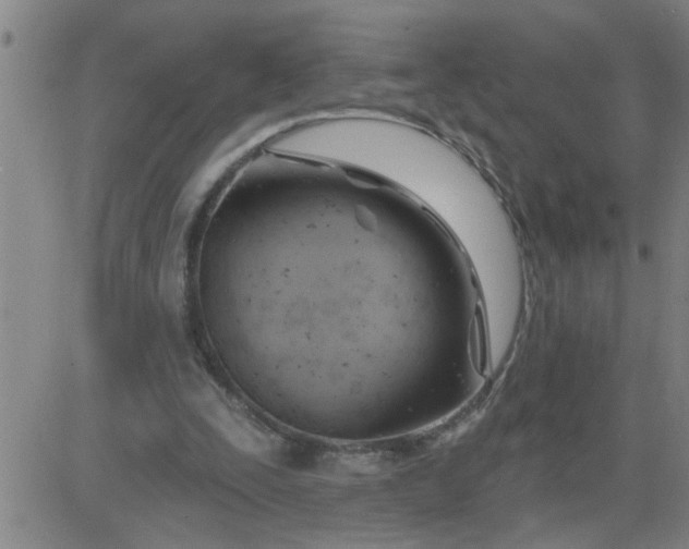 X0000083970295200703021852