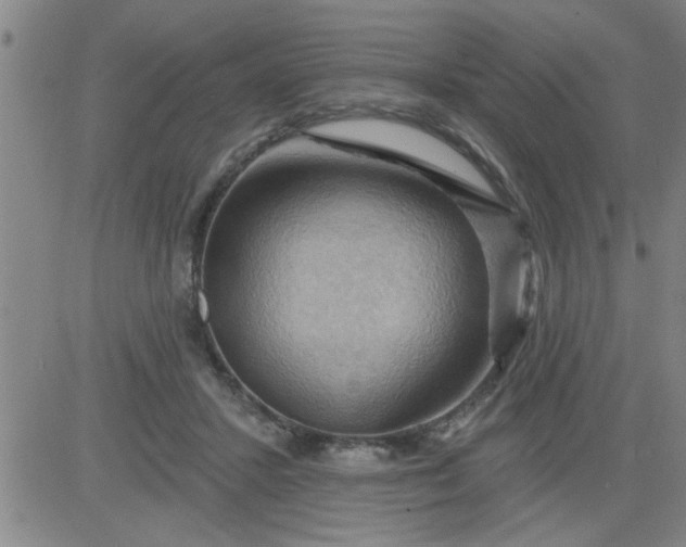 X0000083970407200703021850