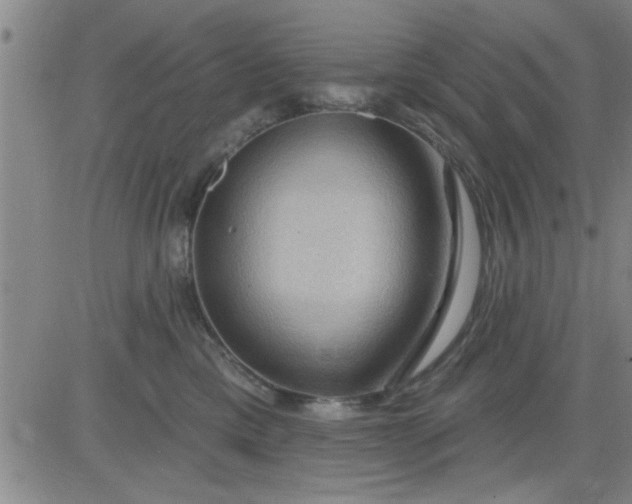 X0000083970425200703021850