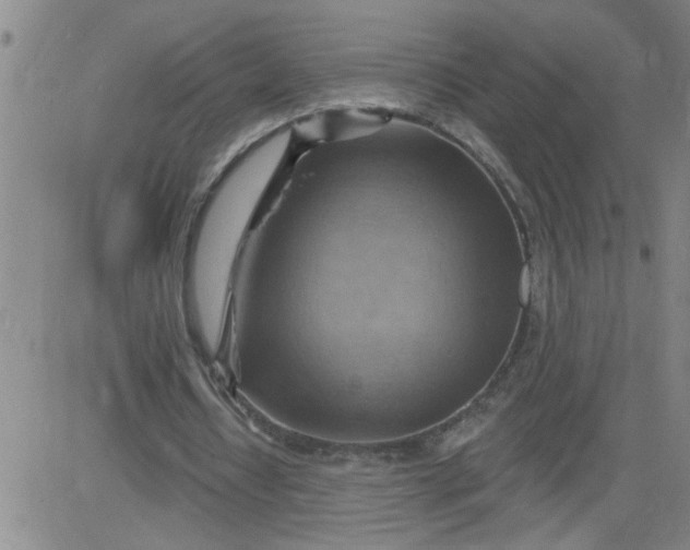 X0000083970434200703021849