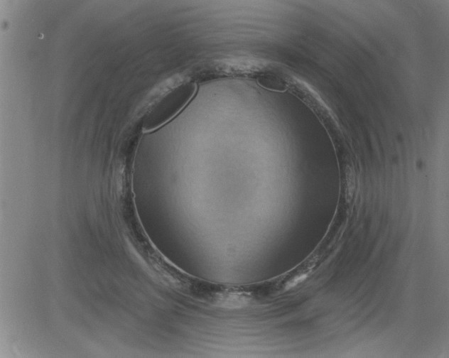 X0000083970451200703021849