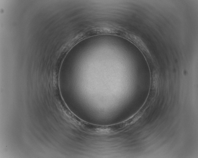 X0000083970457200703021849