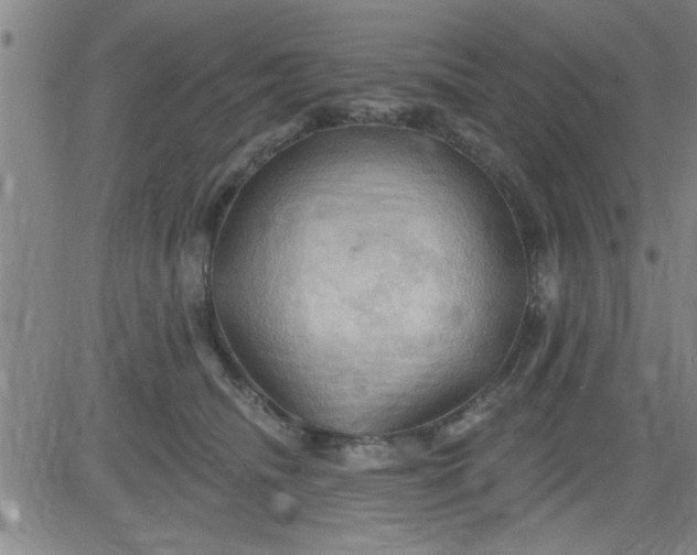 X0000083970468200703021849
