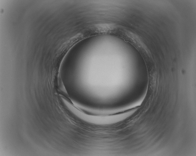 X0000083970505200703021848