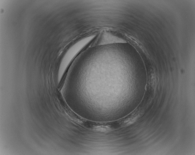 X0000083970508200703021848