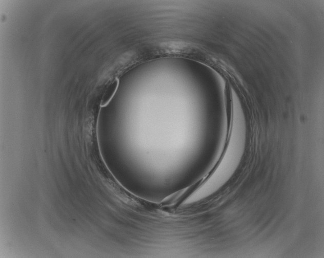 X0000083970509200703021848