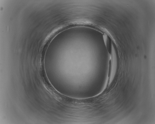 X0000083970531200703021847