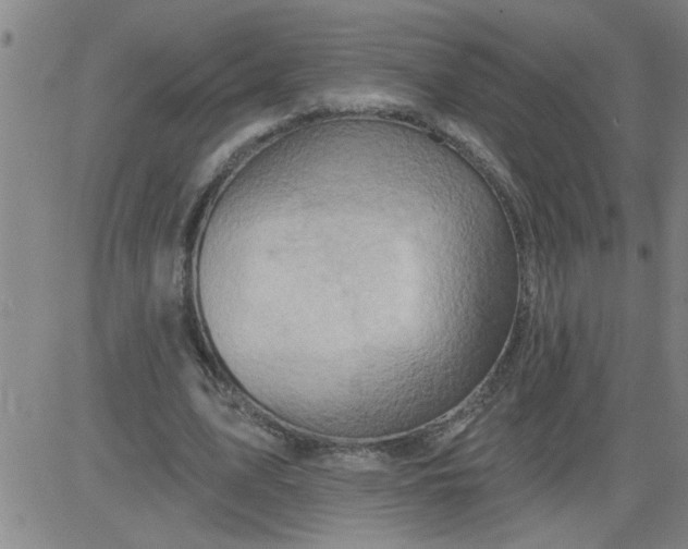 X0000083970583200703021847