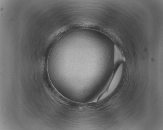 X0000083970591200703021847