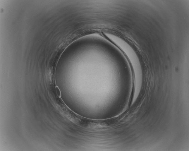 X0000083970597200703021847