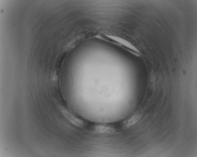 X0000083970614200703021846