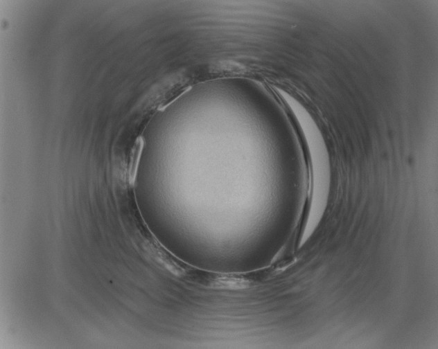 X0000083970617200703021846