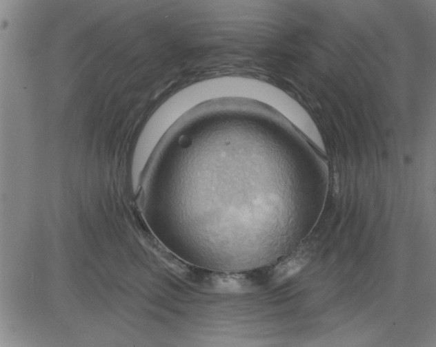 X0000083970618200703021846