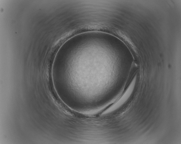 X0000083970681200703021845