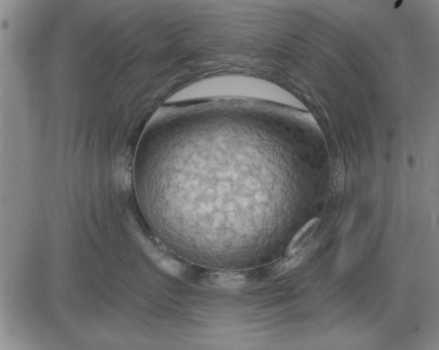 X0000083970719200703021845