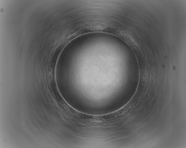 X0000083970743200703021844