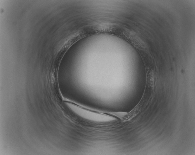 X0000083970746200703021844
