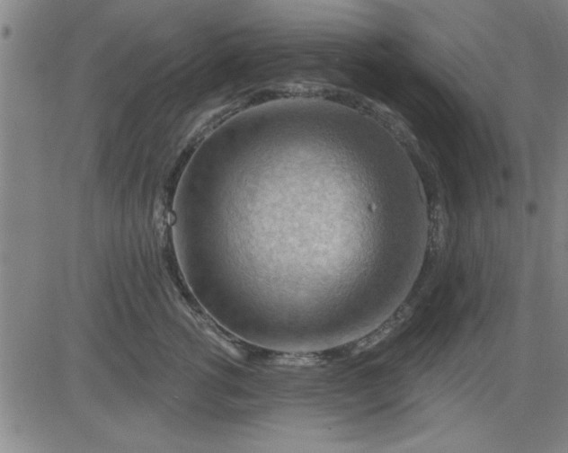 X0000083970762200703021844